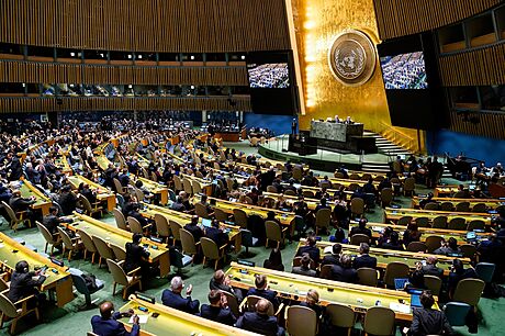 Jednání OSN (23. února 2023)