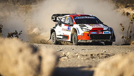 Francouz Sébastien Ogier vyhrál posedmé Mexickou rallye