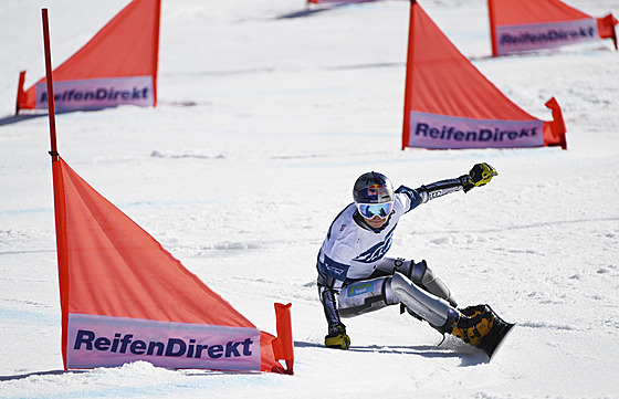 Ester Ledecká, archivní snímek