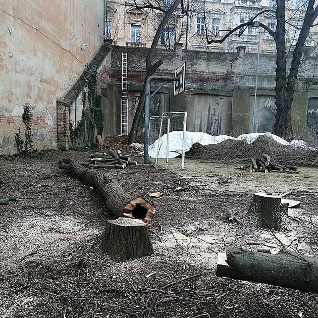 Stromy musely ustoupit plánům biskupství, kácení rozčílilo Brňany