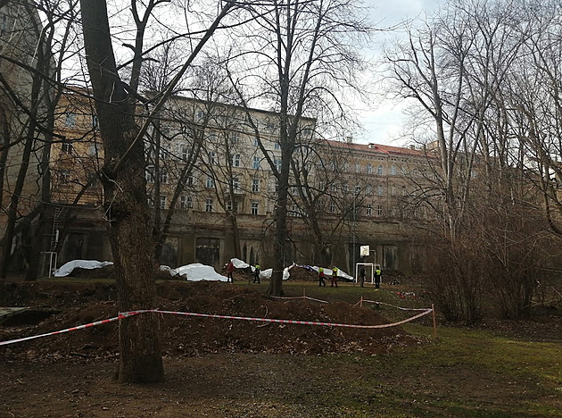 Stromy musely ustoupit plánům biskupství, kácení rozčílilo Brňany