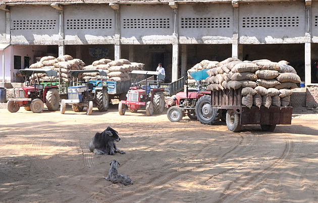 V Indii se zřítila střecha skladu, pytle brambor zasypaly nejméně osm lidí