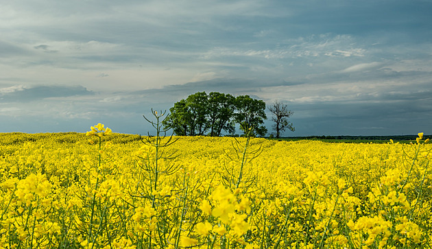 Družicový dotační „semafor“ nefunguje. Farmářům hlásí červenou, kdy nemá