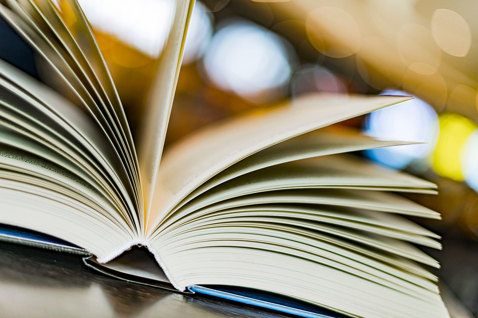 KOMENTÁŘ: Nechme české autory psát. Irsko si své literáty hýčká a vůbec na tom neprodělává
