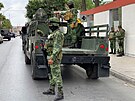 Mexická policie a armáda uspoádala po únosu ty amerických turist...