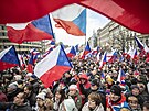 Úastníci demonstrace, kterou do centra Prahy na Václavské námstí svolala...