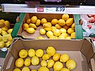 Nezlevnné citrony stojí v Polsku 45 korun za kilogram (10. bezna 2023).