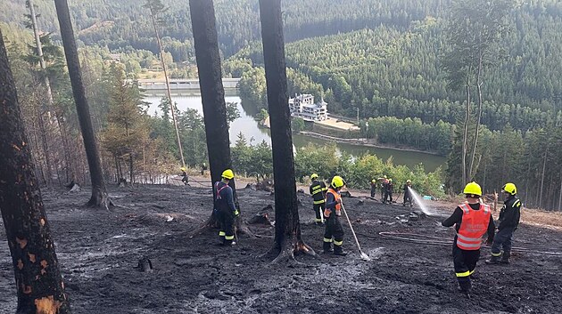 Požár lesa z loňského srpna ve svahu nad přehradou Březová. Za jeho úmyslné zapálení dostal podmíněný trest bývalý policista, který byl zároveň dobrovolným hasičem.