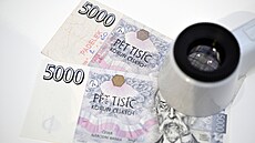 Pad�lky zadr�ené v �esku v roce 2022 (13. b�ezna 2023)