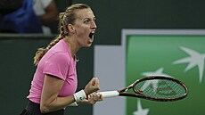 Petra Kvitová v osmifinále turnaje v Indian Wells.