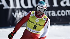 Poslední sjezd sezony ve finále Světového poháru v Soldeu vyhrál rakouský lyžař...