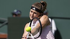 Karolína Muchová ve tvrtfinále turnaje v Indian Wells.