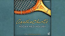 Ko�ka mezi holuby
