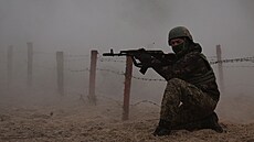 Ukrajintí vojáci z rzných brigád se úastní vojenského cviení...