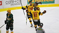 Jihlavští hokejisté se radují z gólu v utkání proti Vsetínu.