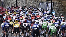 Cyklisté bhem klasiky Milán-San Remo