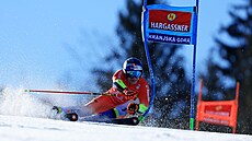 �výcar Marco Odermatt jede první kolo ob�ího slalomu v Kranjské Go�e.