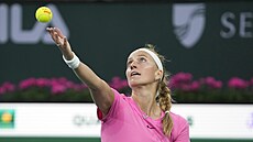 Petra Kvitová podává b�hem �tvrtfinálového utkání turnaje v Indian Wells
