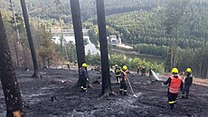 Po�ár lesa z lo�ského srpna ve svahu nad p�ehradou B�ezová. Za jeho úmyslné...