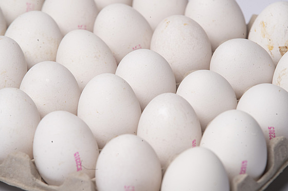 ilustra�ní snímek