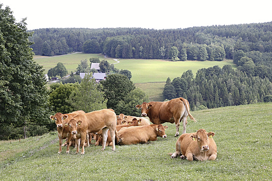 ilustra�ní snímek