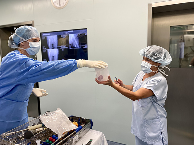 Sloučení nemocnic nevyšlo, tak alespoň společně vyřeší nákupy a kyberhrozby