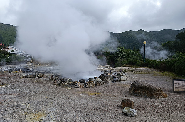 Chtěl zachránit mládě bizona a dotkl se ho. Zvíře kvůli turistovi museli utratit