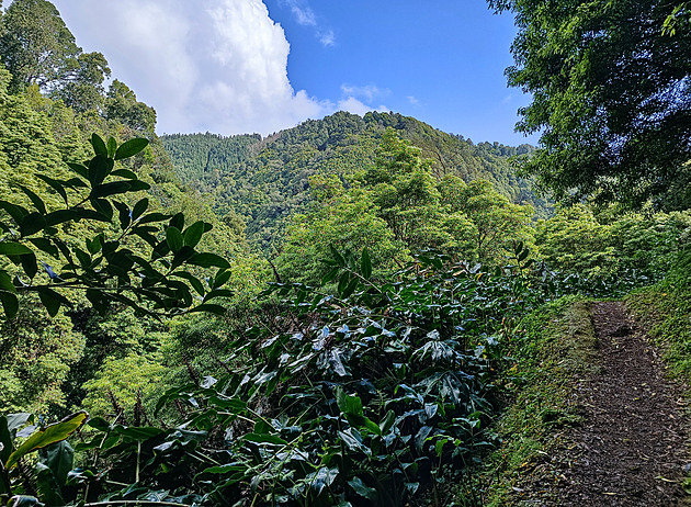 Sopečný Sao Miguel nabízí vodopády, staré majáky i termální prameny
