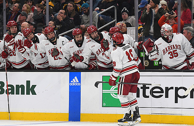 Harvard, místo nejen studentské. Jak hokejisté kloubí sny o NHL se vzděláním