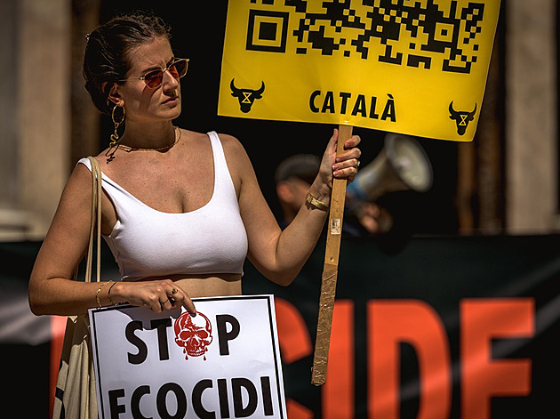 Sexem k informacím? Španělští tajní policisté infiltrovali aktivistky po svém