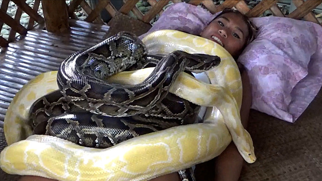 VIDEO: Hlavně buďte v klidu. Jak přežít masáž krajtami na Filipínách