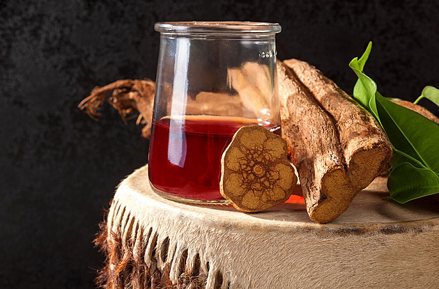 Psychotropní nápoj ayahuasca silně ovlivňuje lidský mozek, zjistili vědci