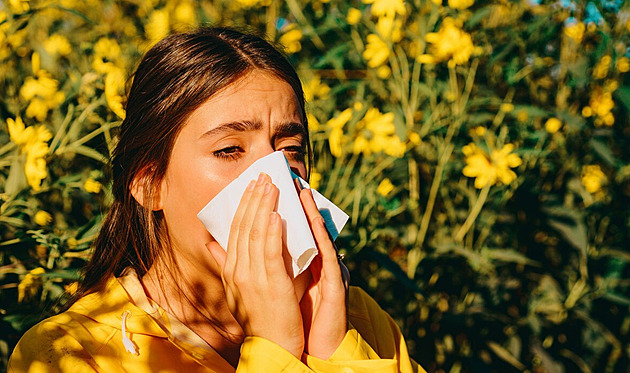 Alergie se letos „sčítají“, lidé tak mohou mít více potíží, řekl lékař