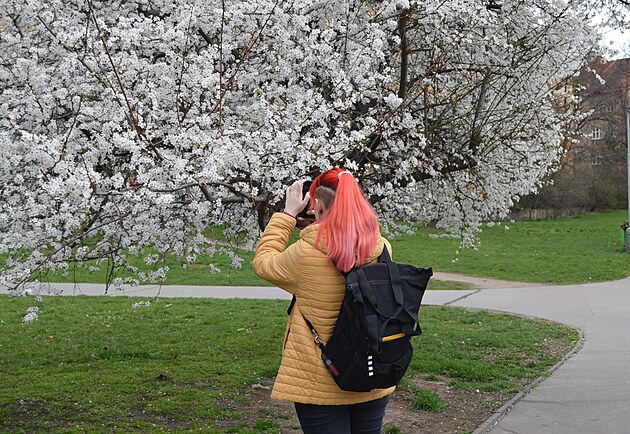 <p>Někdo vychutnává jarní bílou krásu jen očima, jiní v ní hledají inspiraci přes svůj mobil či fotoaparát… Prostě je jaro, je jaro.</p>