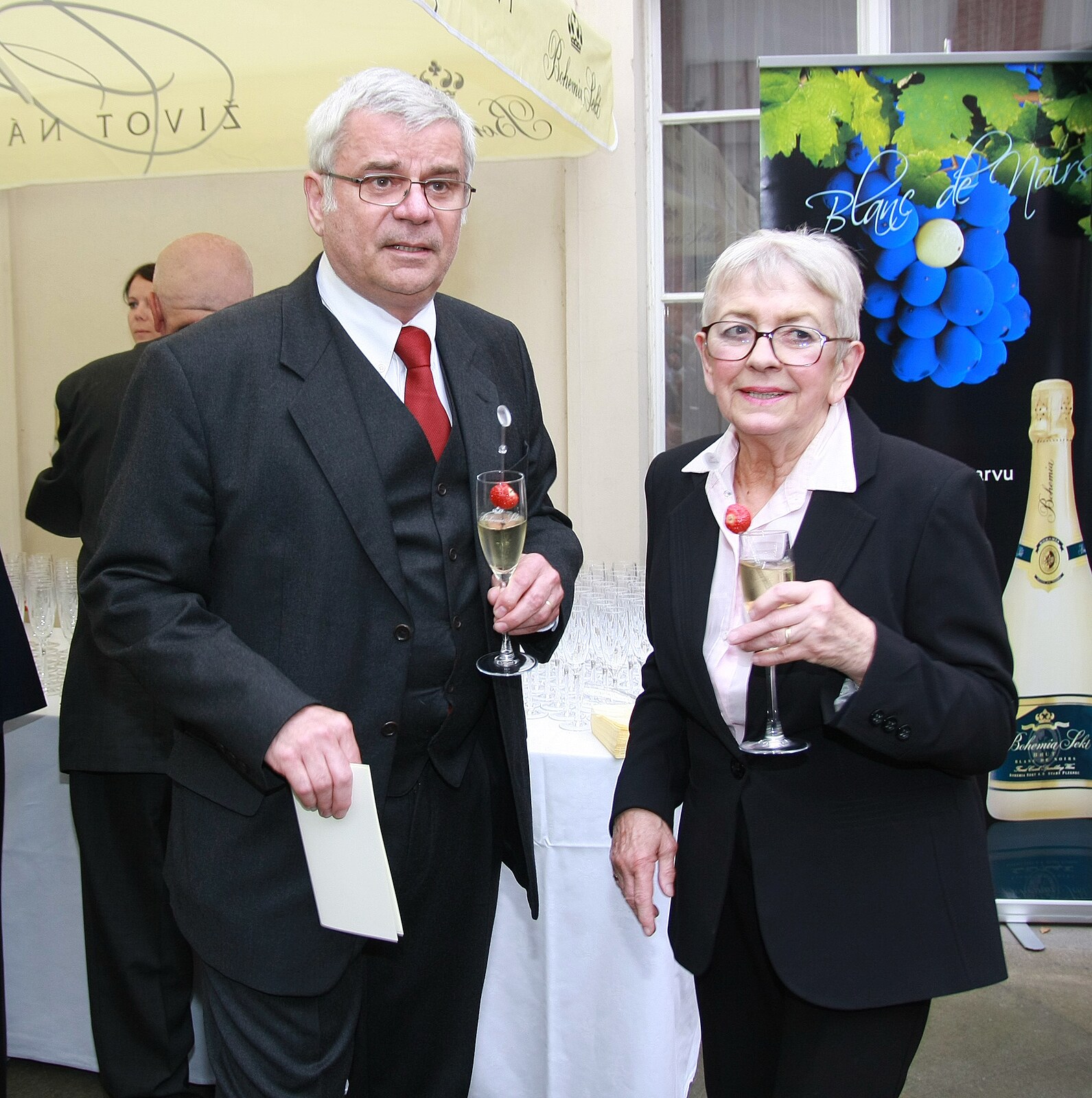 Vlasta Jane�kov�
