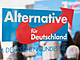 Alternativa pro Německo. Ilustrační foto.