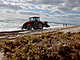 Ve Fort Lauderdale na Floridě odhrnuje traktor chaluhy, které byly vyplaveny na...