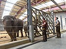 Slonm ve zlnsk zoo zaal slouit nov pavilon v oblasti Karibuni vnovan...