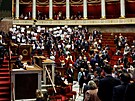 Francouztí opoziní poslanci protestují proti vládní dchodové reform, která...