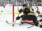 David Krejí (46) z Boston Bruins pekonává v zápase s Ottawa Senators brankáe...