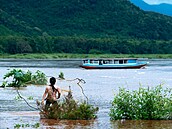 Klimatické změny a výstavba čínských přehrad na řece Mekong negativně ovlivňuje...