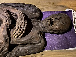 Do krypty kostela sv. Prokopa ve Vamberku se vrátilo 34 mumií m욝an,...