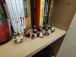 Fotografie pozen smartphonem Poco X5 Pro 5G