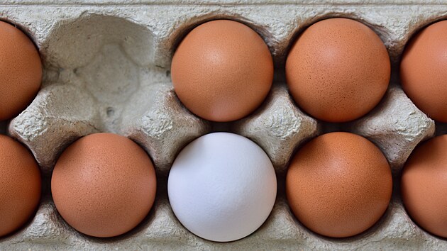 Test čerstvých vajec: Jsou nejlepší z ekofarmy, haly, nebo klece?