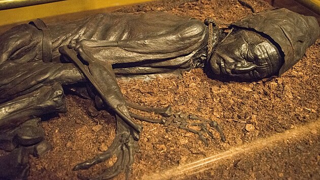 V dnskm Silkeborg Museum je vystavena pvodn hlava mumie, tlo je zrekonstruovanou napodobeninou.