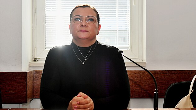 Ústecký okresní soud dnes zprostil obžaloby z podvodu bývalou poradkyni hejtmana Vladislavu Marschallovou.
