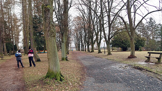 Schulzovy sady ve Dvo�e Kr�lov�