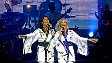 The Show - A Tribute to Abba