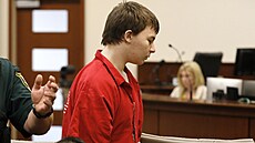 Šestnáctiletý Aiden Fucci dostal od soudu doživotí za zabití spolužačky v roce...