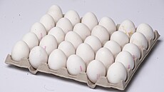 OVUS �erstvá vejce (27. b�ezna 2023)